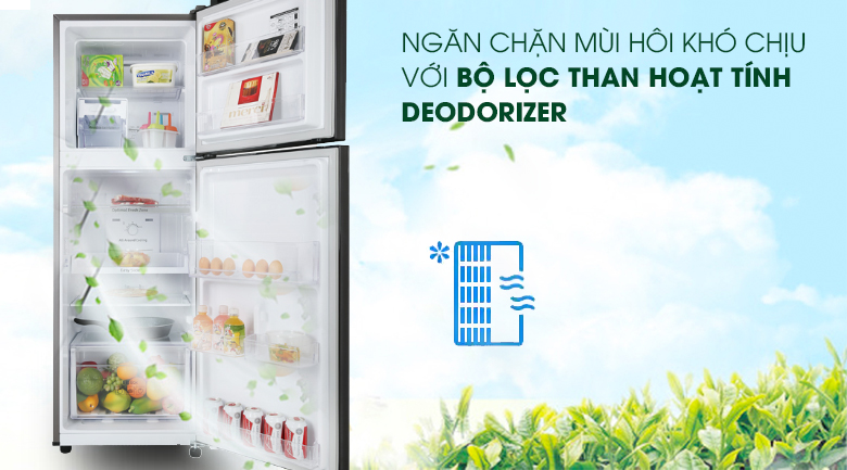 Tủ lạnh Samsung Inverter 236 lít RT22M4032BY