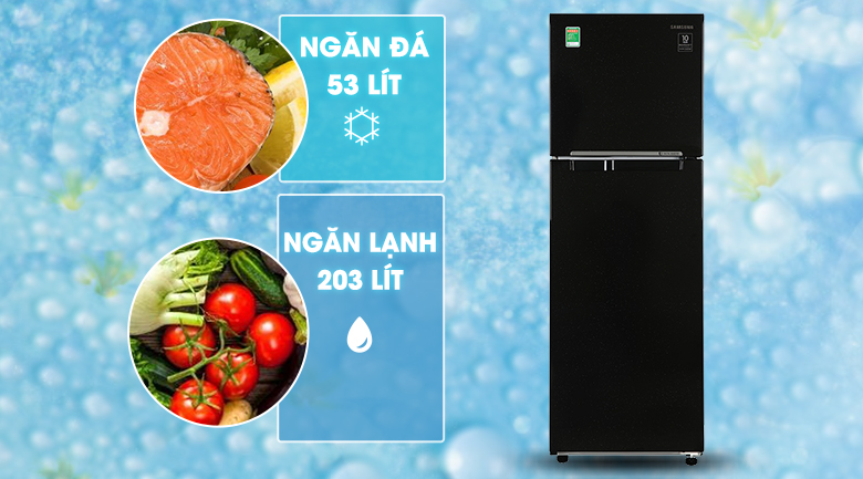 Tủ lạnh Samsung Inverter 256 lít RT25M4032BU Tủ lạnh Samsung Inverter 256 lít RT25M4032BU
