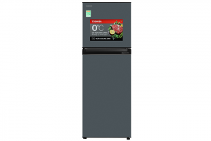 Tu Lanh Toshiba Inverter 233 Lit Gr Rt303we Pmv52