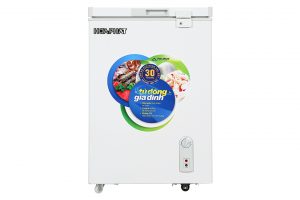 Tủ đông Hòa Phát 107 lít HCF 106S1Đ